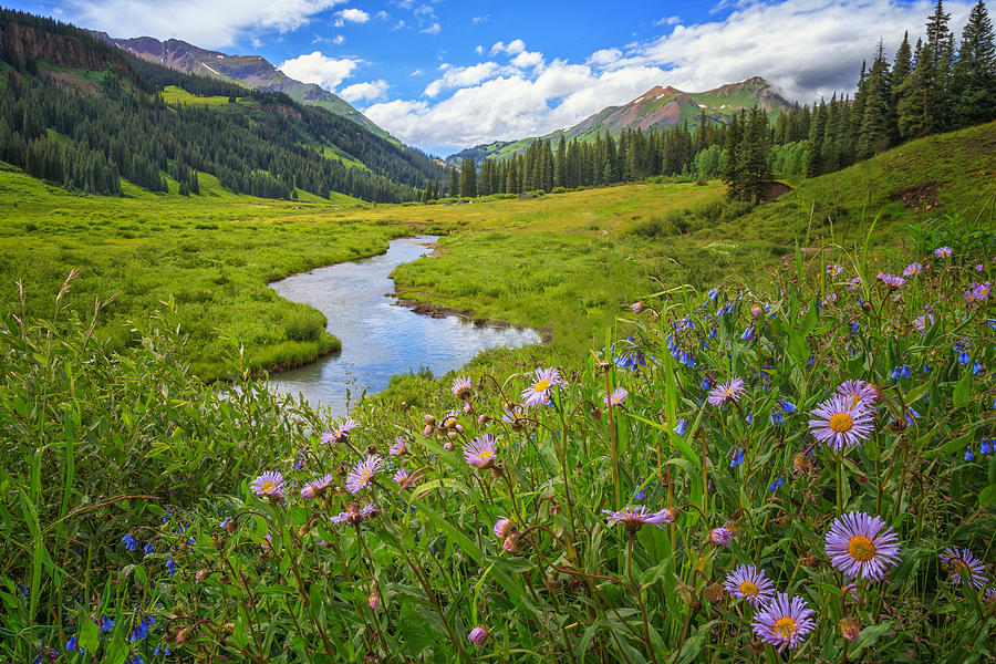 Summers in Crested Butte Photograph by Jared Perry 