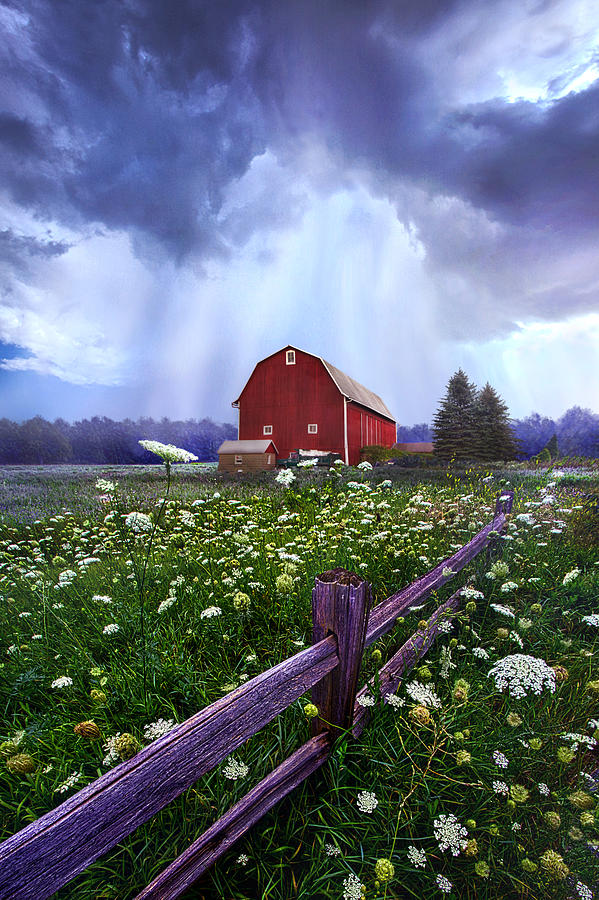 Summers Shower Photograph by Phil Koch