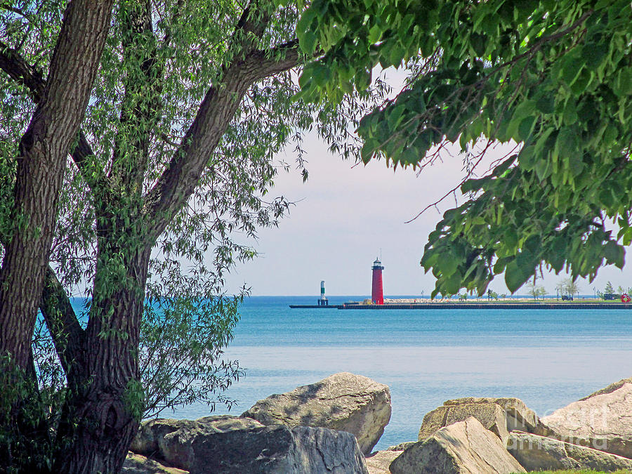 Summertime Along Lake Michigan Photograph by Kay Novy