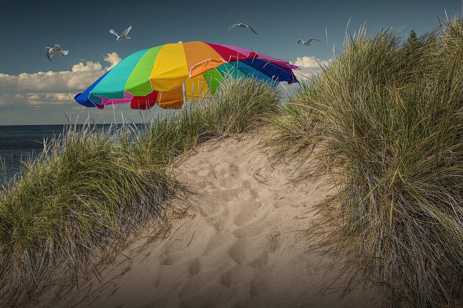 Summertime at the Beach Photograph by Randall Nyhof