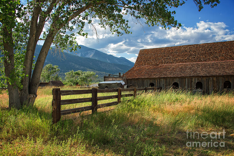 Summertime at the Ranch Photograph by Dianne Phelps