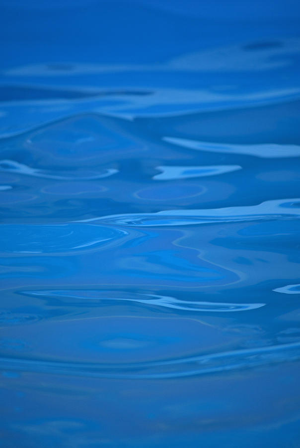 Summertime Blues - Vertical Photograph by Richard Andrews