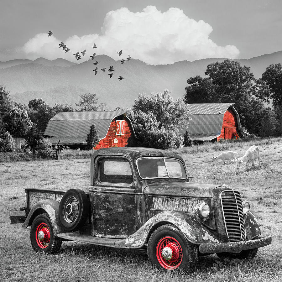 Summertime Farm in Black and White with Red touches Photograph by Debra and Dave Vanderlaan