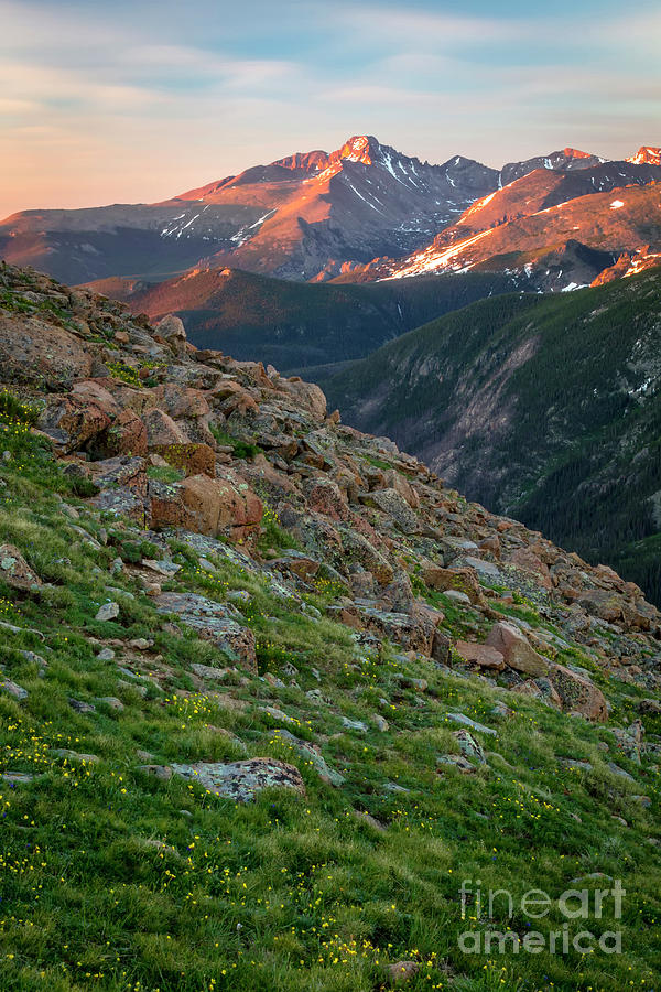 Summertime in the Rocky Mountains Photograph by Ronda Kimbrow