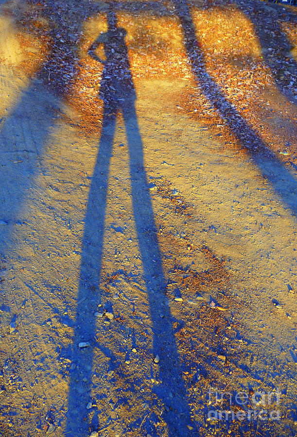Summertime Legs Photograph by JoAnn SkyWatcher