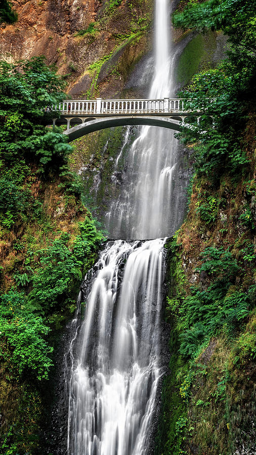 Summertime Multnomah Falls Photograph by Wes and Dotty Weber