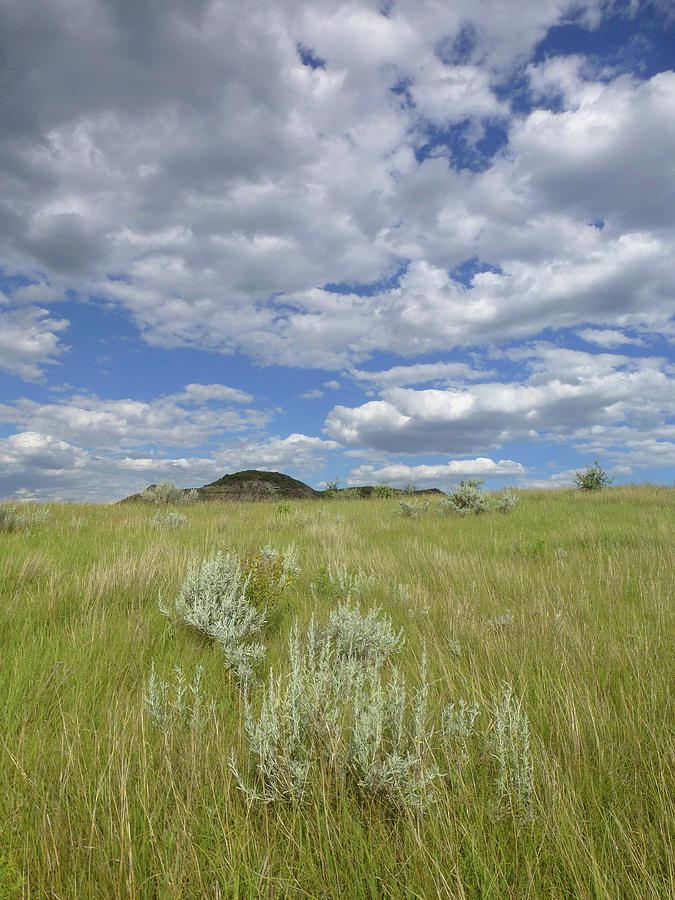 North Dakota Photograph - Summertime on the Prairie by Cris Fulton