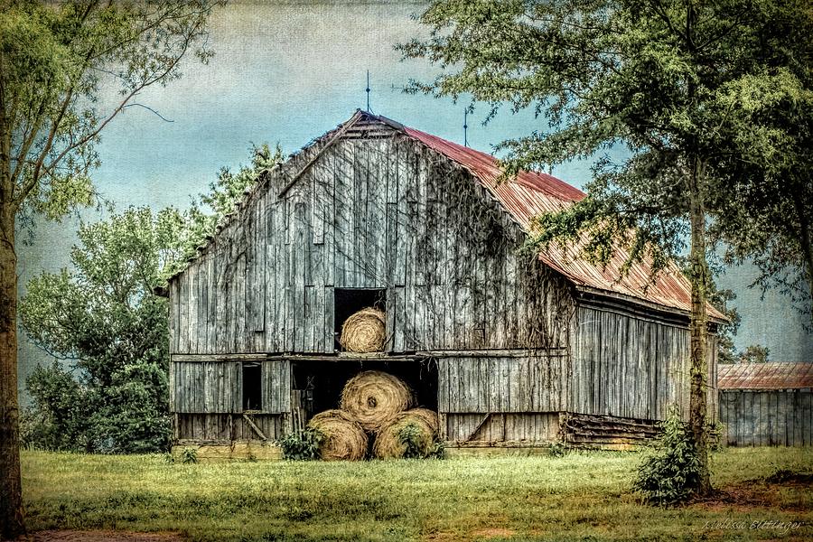 Summertime Rustic Barn Summerfield North Carolina Photograph by Melissa Bittinger