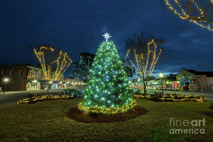Summerville Christmas Tree Photograph by Robert Loe