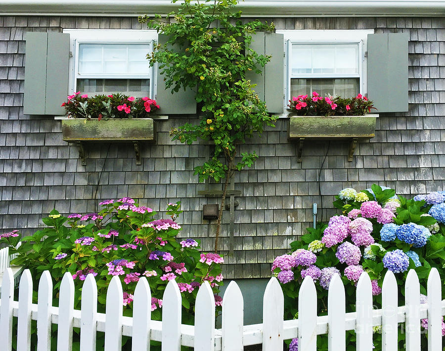 Nature Photograph - Summery Nantucket by Michelle Constantine
