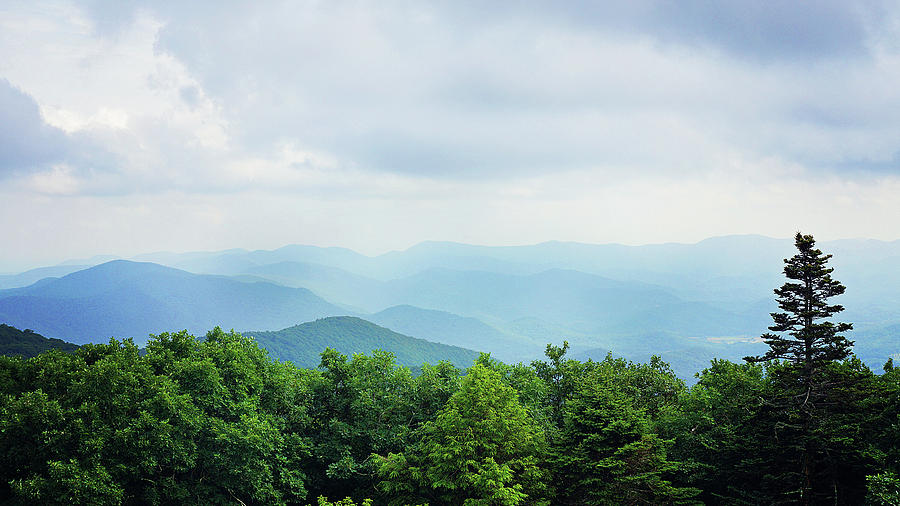 Mountain Photograph - Summit at Brasstown Bald 3 by Megan Swormstedt