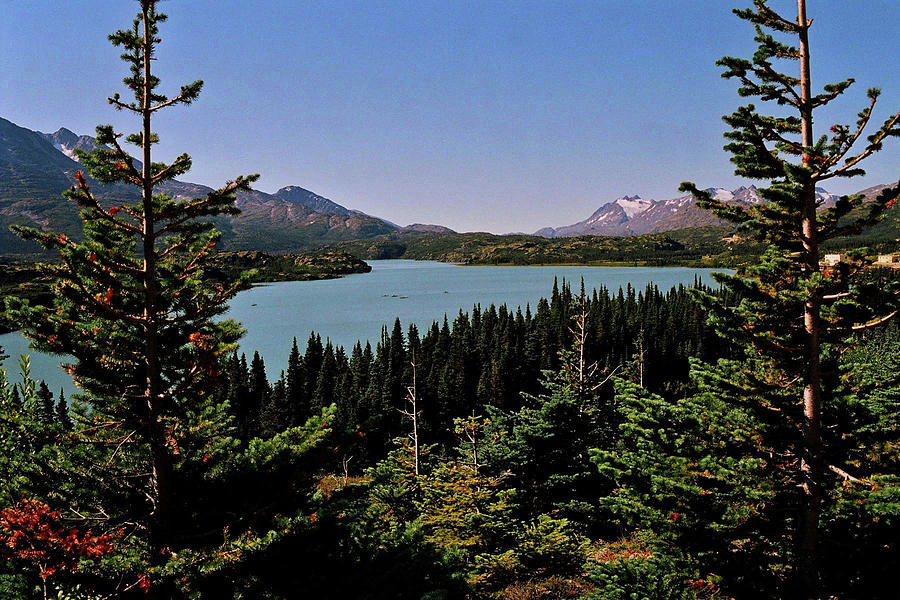 Tagish Lake - Yukon Photograph by Juergen Weiss