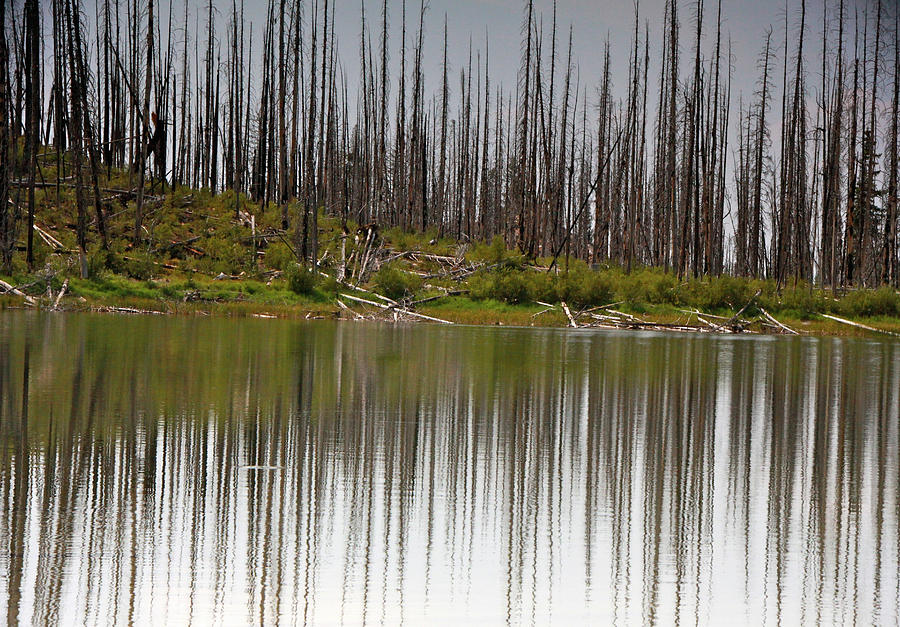 Summit Lake Idaho Photograph by Ed Riche