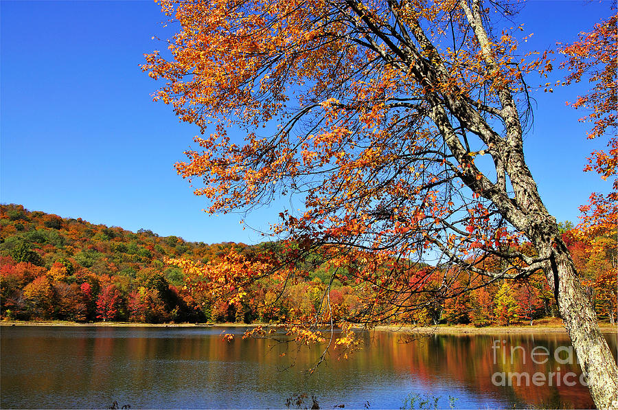 Summit Lake Monongahela National Forest Photograph by Thomas R Fletcher ...