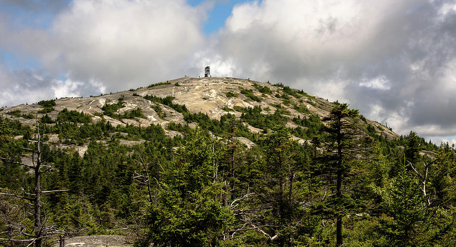 Tree Photograph - Summit of Mount Cardigan by Sherman Perry
