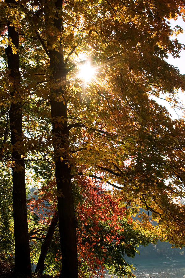 Cuyahoga Valley National Park Photograph - Sun and Autumn by Amanda Kiplinger