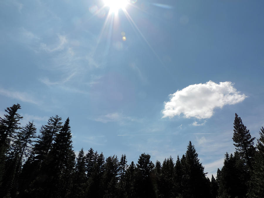 Sun And Cloud Photograph