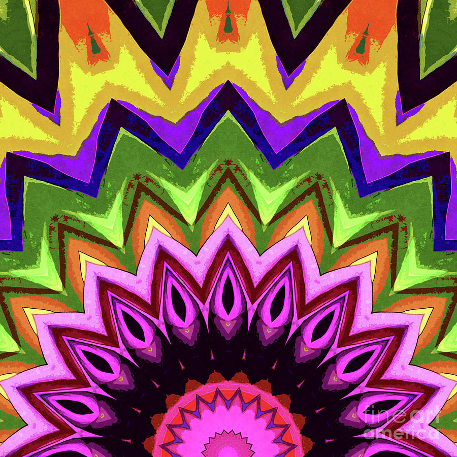 Sun And Flower Digital Art by Phil Perkins