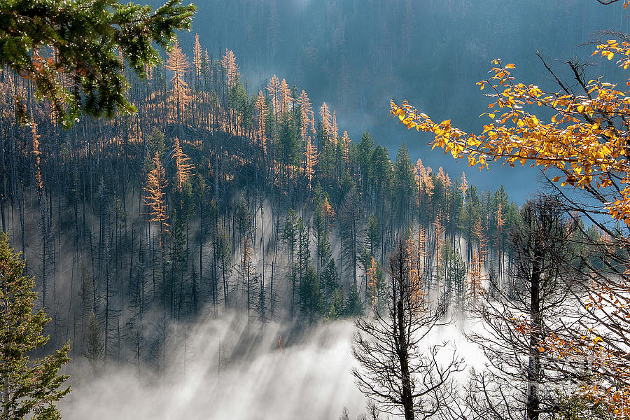 Sun and Mist by David Emond Sun and Mist by David Emond