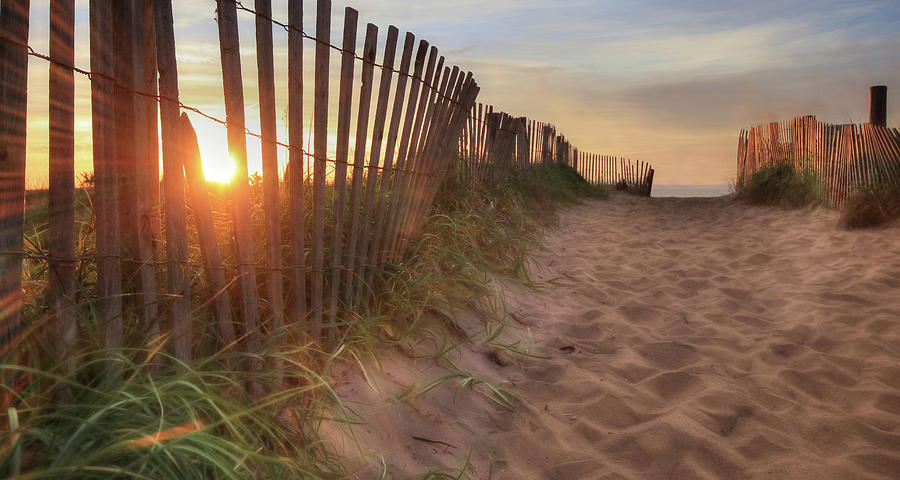 Sun and Sand Photograph by Lori Deiter