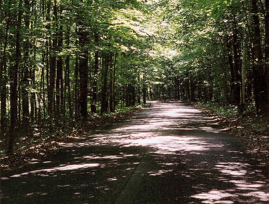 Tree Photograph - Sun and Shadow Road in Summer  C3PDL by Lyle Crump