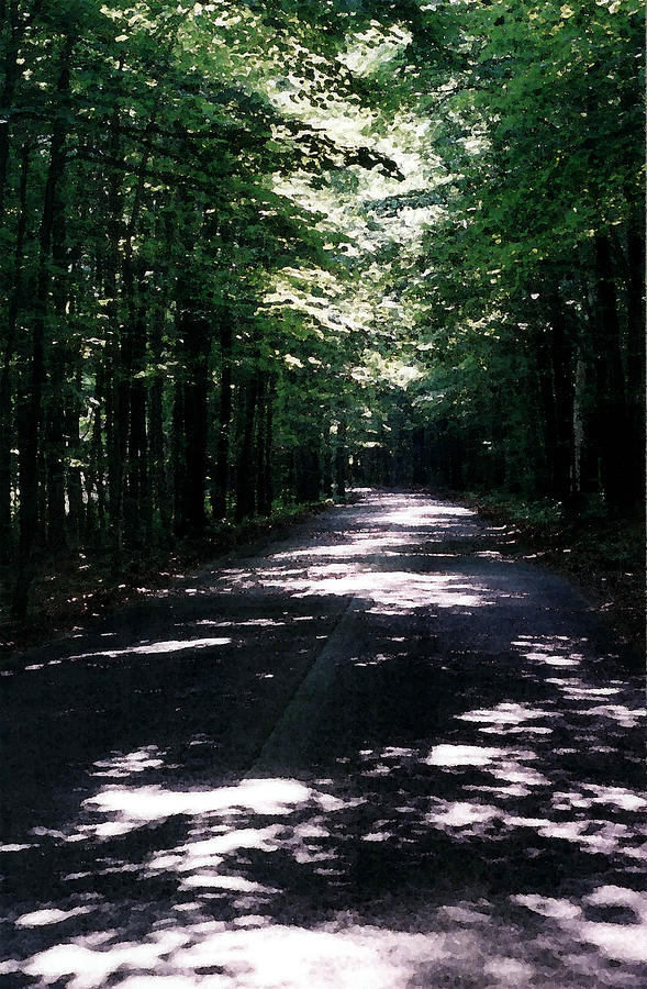 Sun and Shadow Road in Summer IMP WC Photograph by Lyle Crump