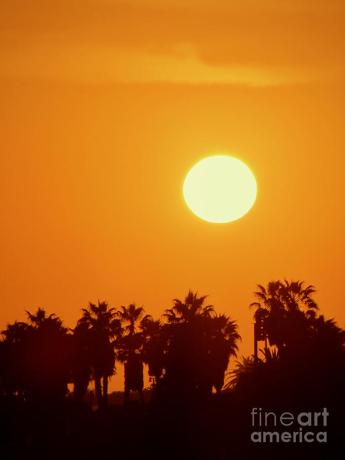 Sun at Ventura Beach Photograph by Rachel Morrison