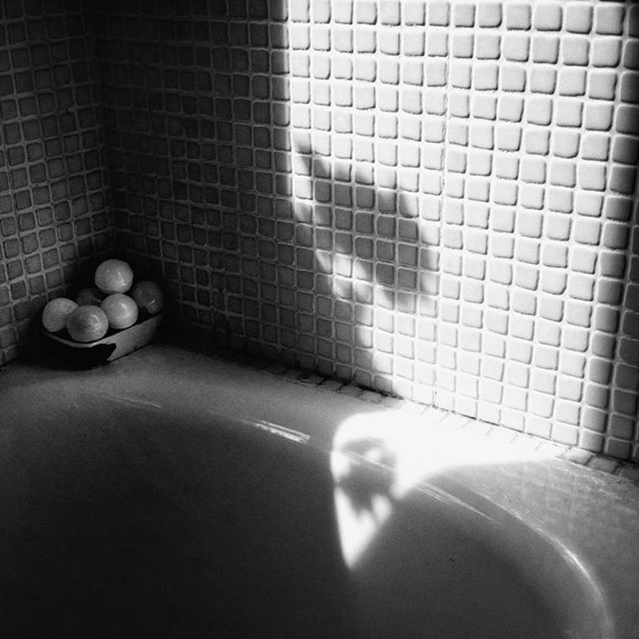Morning Photograph - Sun Bath

#deadnature #minimal by Rafa Rivas