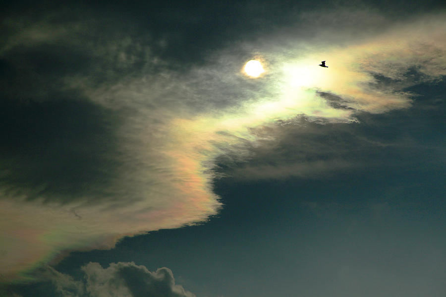 Sun Clouds Photograph by James Steele