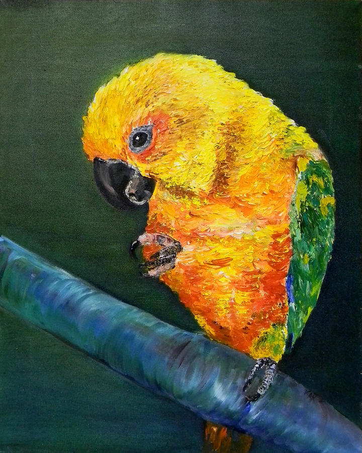 Sun Conure Painting by Art by Kar - Fine Art America