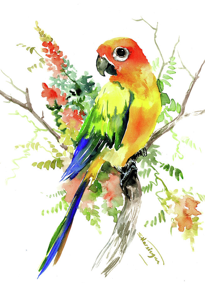 Sun Conure Parakeet Painting by Suren Nersisyan
