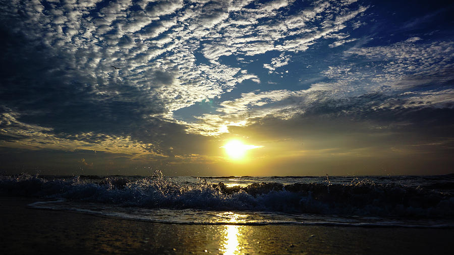 Sun Crystals Delray Beach Florida Photograph by Lawrence S Richardson Jr