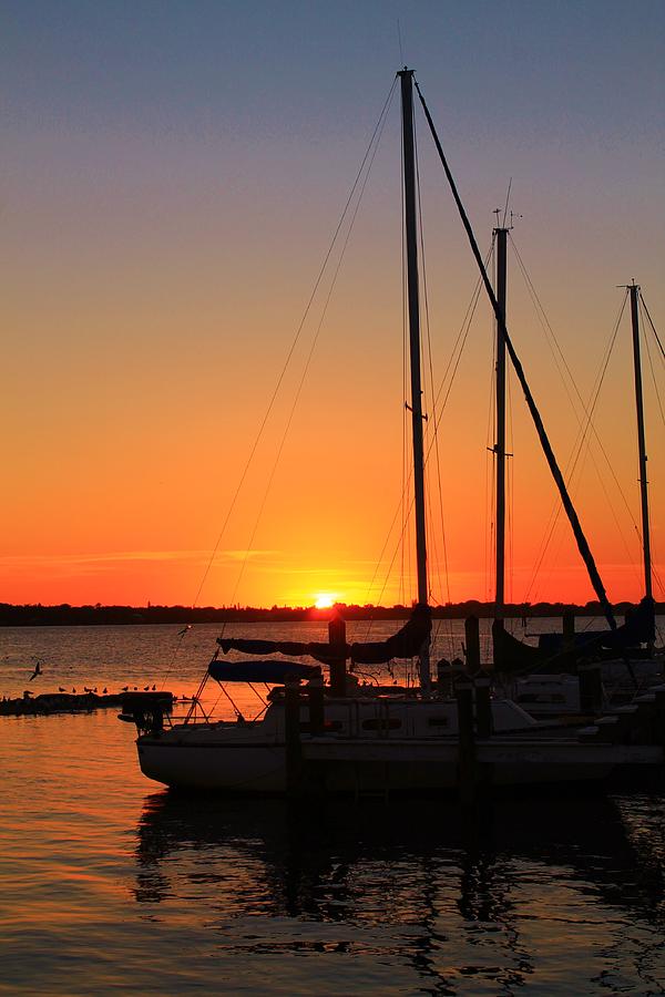 Sun down and Sails Photograph by Catie Canetti