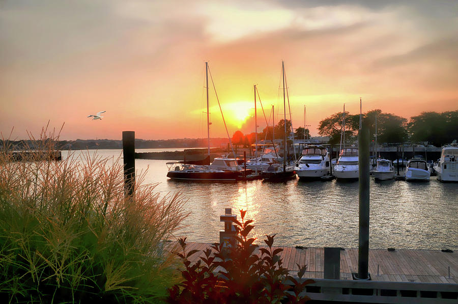 Sun Down Cove Marina Photograph by Diana Angstadt