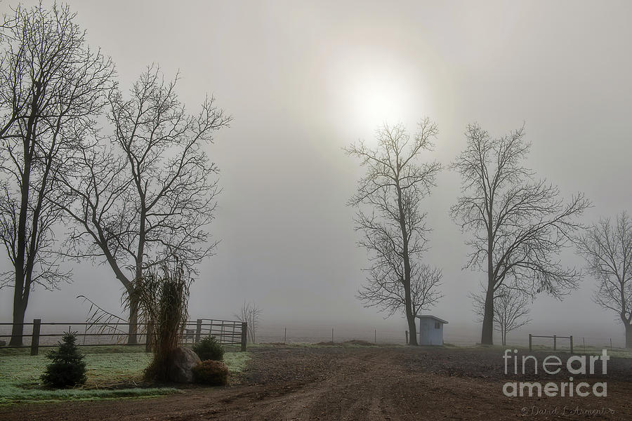 Sun Filtered through Fog Photograph by David Arment