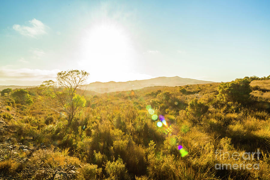 Sun flare prairie  Photograph by Jorgo Photography