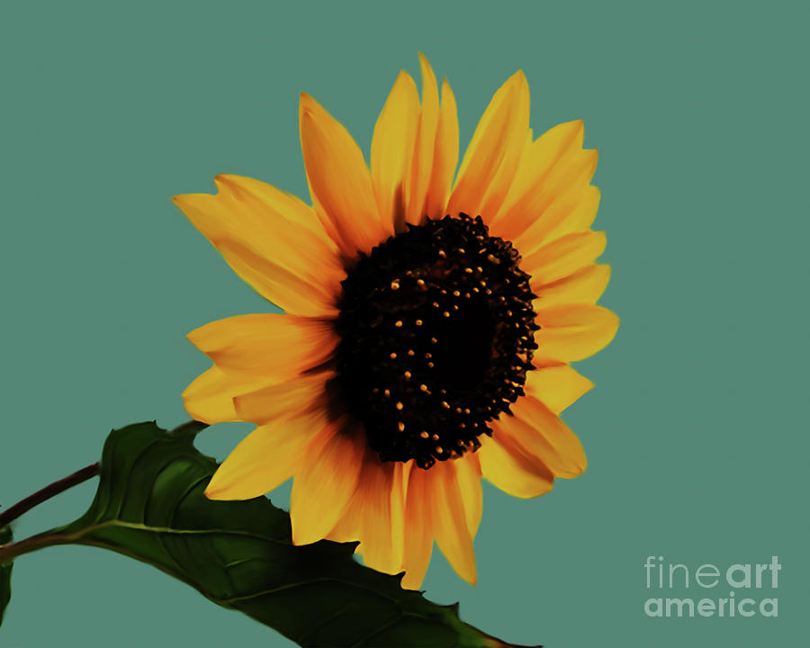 Sun flower 34 Painting by Gull G