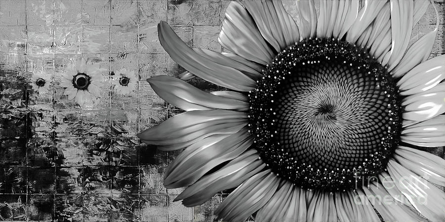 Sun Flower Abstract art B and W Painting by Gull G