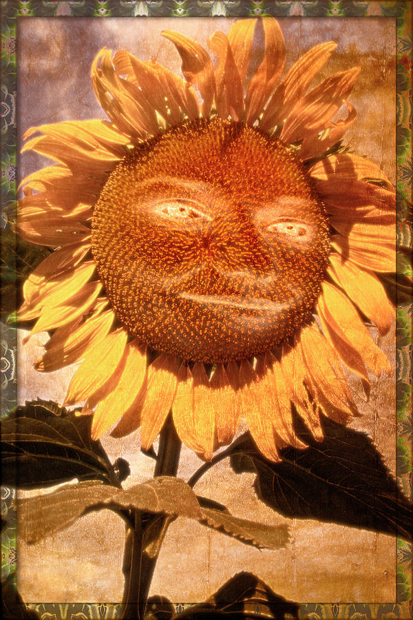 Sun Flower Digital Art by Becky Titus