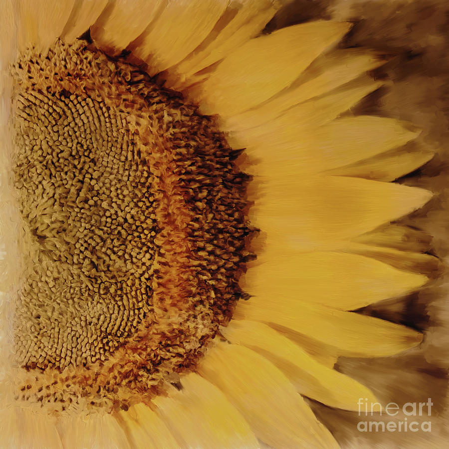 Sun flower Painting by Gull G