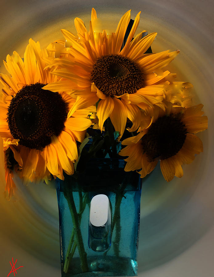 Sunflower Photograph - Sun Flower Joy  by Colette V Hera Guggenheim