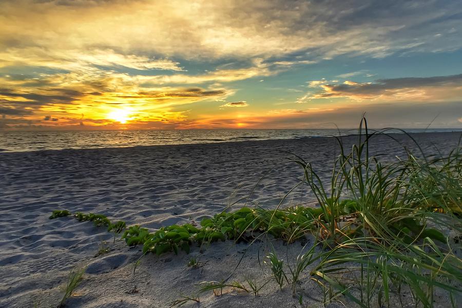 Sun Glow by Juan Montalvo Sun Glow by Juan Montalvo