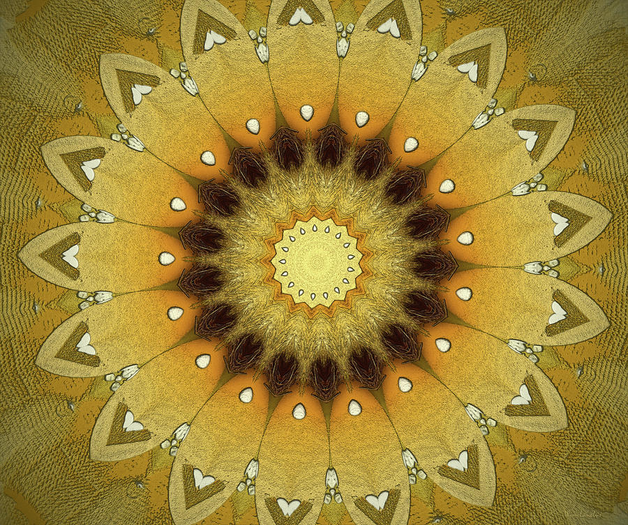 Sun Mandala Digital Art by Wim Lanclus