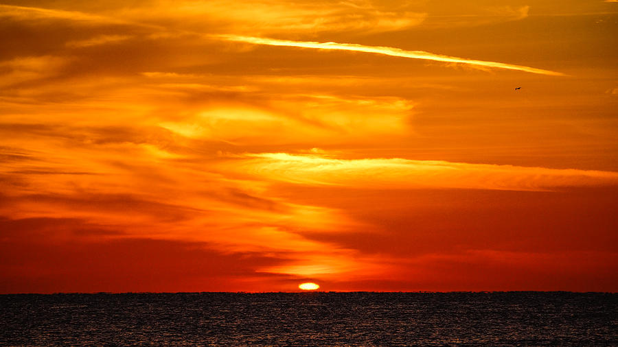 Sun King Emerges Delray Beach Florida Photograph by Lawrence S Richardson Jr