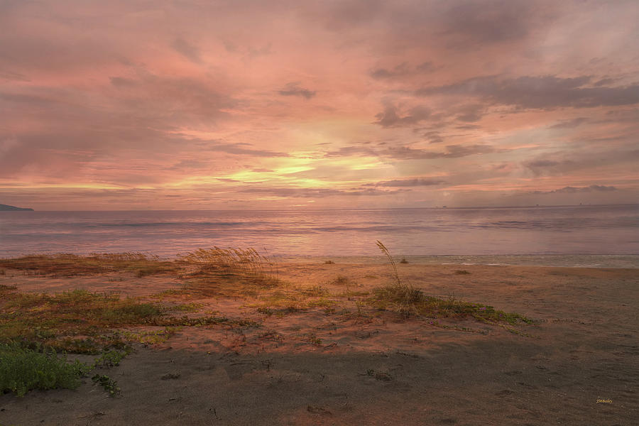 Sun Kissed Coast Photograph by John M Bailey