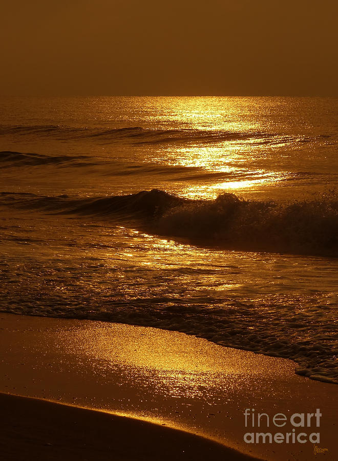Sun Kissed Photograph by Jeff Breiman