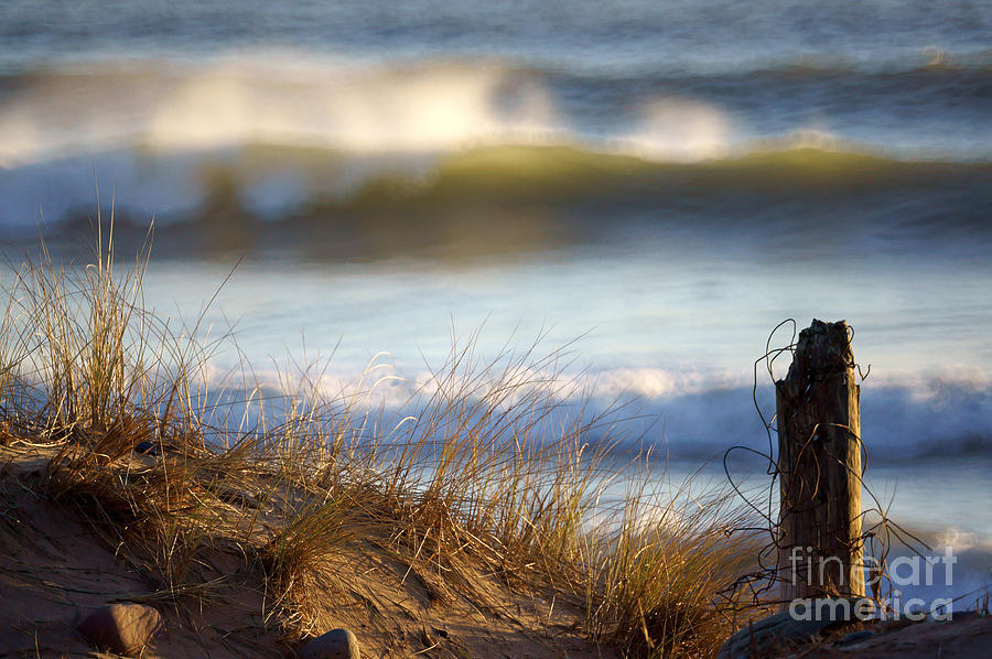 Sun Kissed Waves by Minolta D Sun Kissed Waves by Minolta D