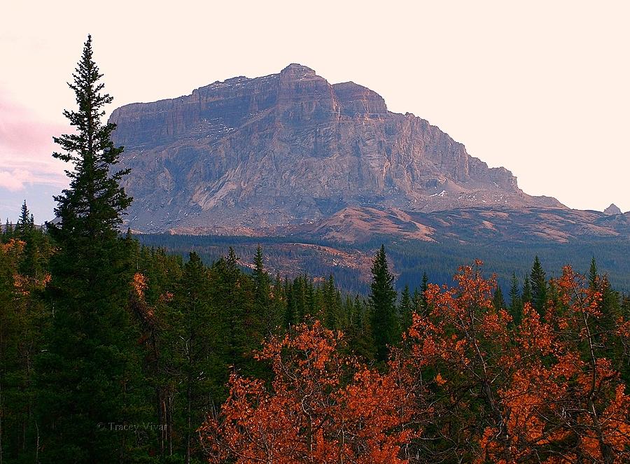 Sun Kisssed Chief Mountain, Fall Photograph by Tracey Vivar