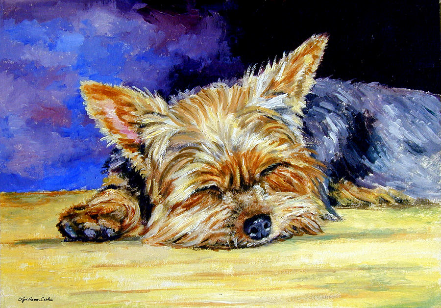 Dog Painting - Sun Light Snoozer - Yorkshire Terrier by Lyn Cook