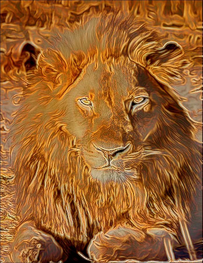 Sun Lion Digital Art By Michael Todd - Fine Art America